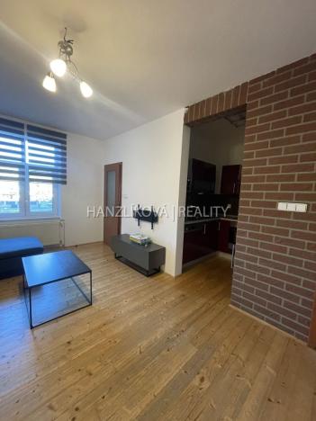 Pronájem bytu 2+1, České Budějovice - České Budějovice 5, Dělnická, 46 m2