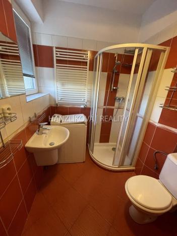 Pronájem bytu 2+1, České Budějovice - České Budějovice 5, Dělnická, 46 m2