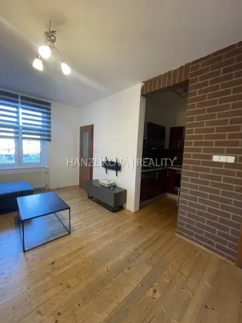 Pronájem bytu 2+1, České Budějovice - České Budějovice 5, Dělnická, 46 m2