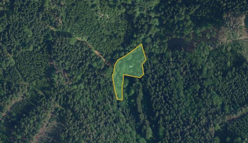 Prodej pole, Jílové u Držkova, 27556 m2