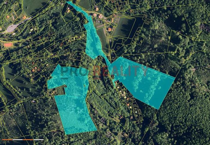 Prodej lesa, Třinec, 102140 m2