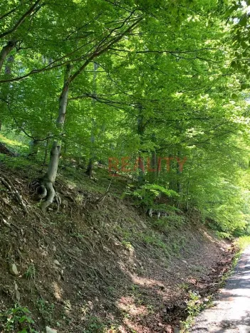 Prodej lesa, Třinec, 102140 m2