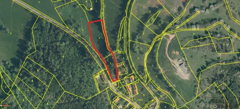 Prodej pozemku pro bydlení, Nechvalice - Ředice, 4965 m2