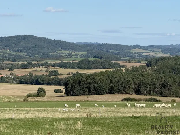 Prodej pozemku pro bydlení, Nechvalice - Ředice, 4965 m2