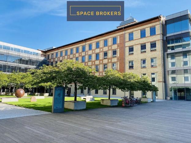 Pronájem kanceláře, Praha - Holešovice, Jankovcova, 1094 m2