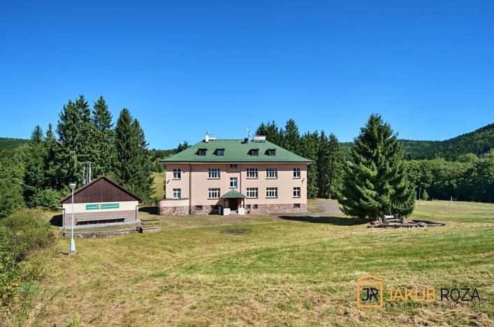 Prodej komerčního pozemku, Heřmánkovice, 40632 m2