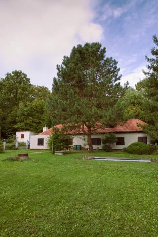 Prodej chaty, Netvořice - Dunávice, 220 m2