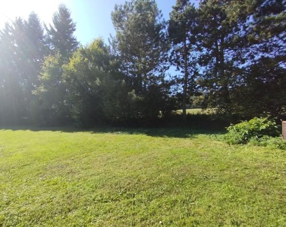 Prodej chaty, Netvořice - Dunávice, 220 m2