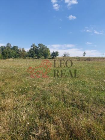 Prodej chalupy, Xaverov, 80 m2