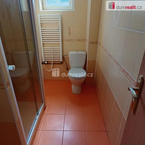 Pronájem bytu 1+1, Děčín - Děčín X-Bělá, Saská, 44 m2