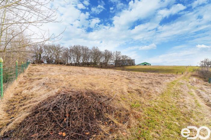 Prodej pozemku pro bydlení, Řendějov, 1987 m2