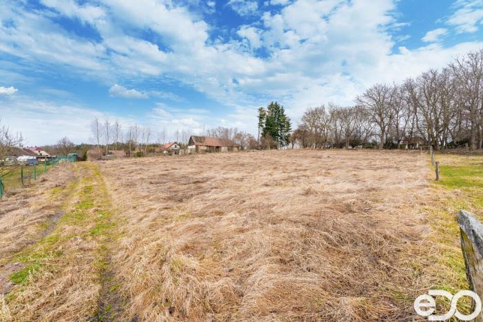 Prodej pozemku pro bydlení, Řendějov, 1987 m2