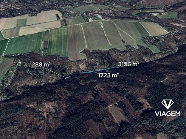Prodej podílu lesa, Chyňava, 2603 m2