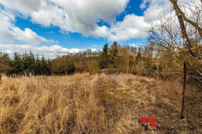 Prodej pozemku pro bydlení, Řepín, 707 m2