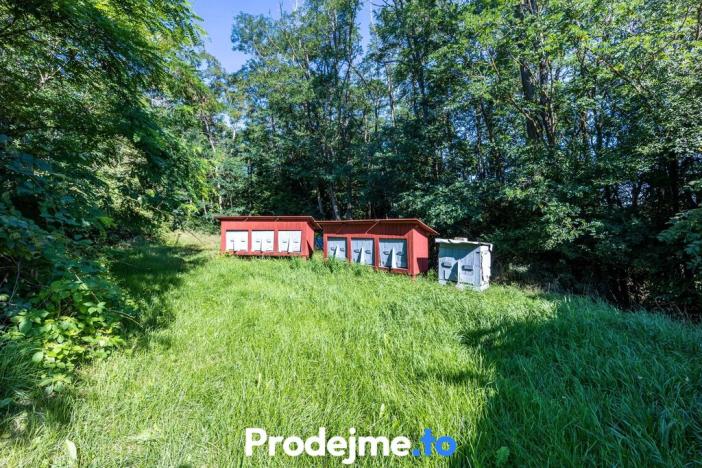 Prodej - jiné, Mikulovice, 71 m2