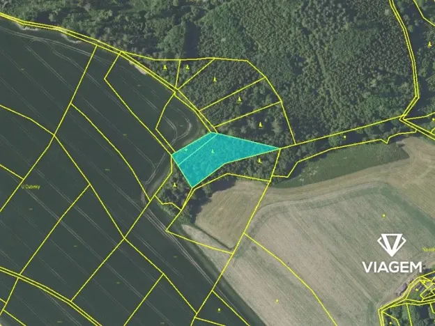 Prodej podílu lesa, Horka II, 821 m2