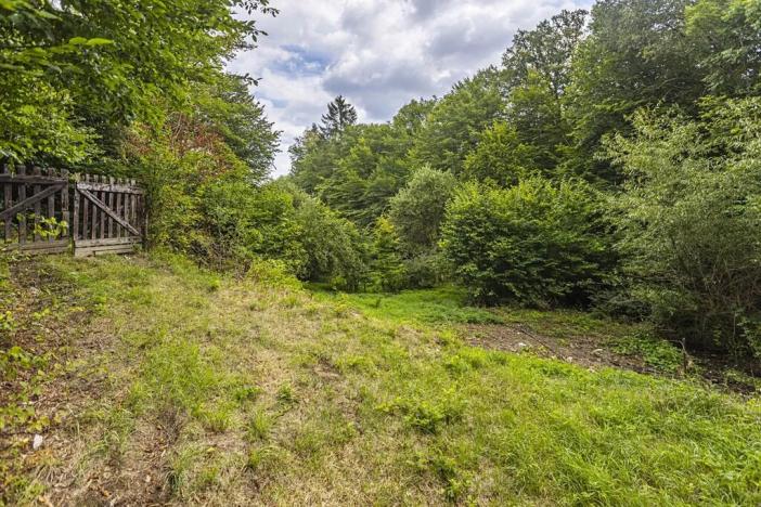 Prodej pozemku pro bydlení, Jílové u Prahy, Husova, 3117 m2