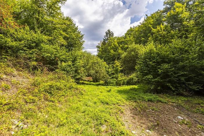 Prodej pozemku pro bydlení, Jílové u Prahy, Husova, 3117 m2