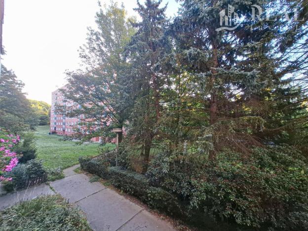 Pronájem bytu 2+1, Chomutov, 17. listopadu, 62 m2