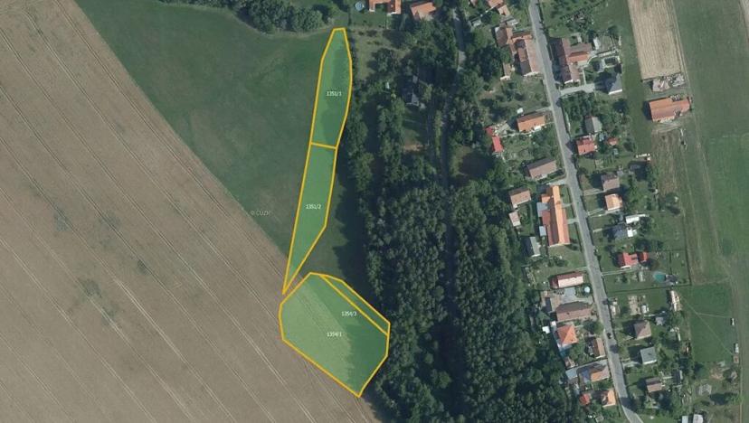 Prodej louky, Skuteč, 8701 m2