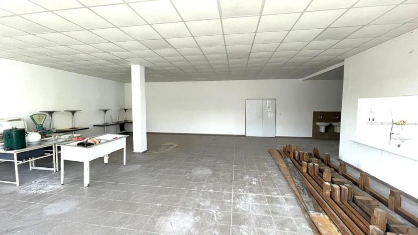 Pronájem skladu, Louny, Postoloprtská, 234 m2