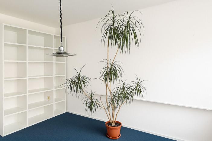 Pronájem bytu 2+1, Havířov - Město, Národní třída, 62 m2