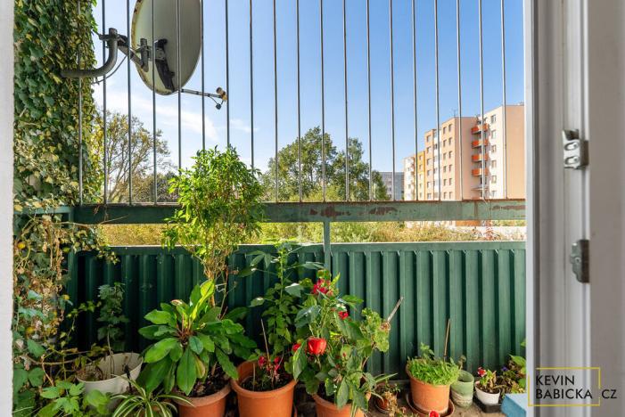 Prodej bytu 3+1, Brno - Líšeň, Zikova, 76 m2