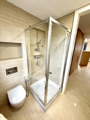 Prodej bytu 2+kk, Praha - Nusle, Pod lázní, 66 m2