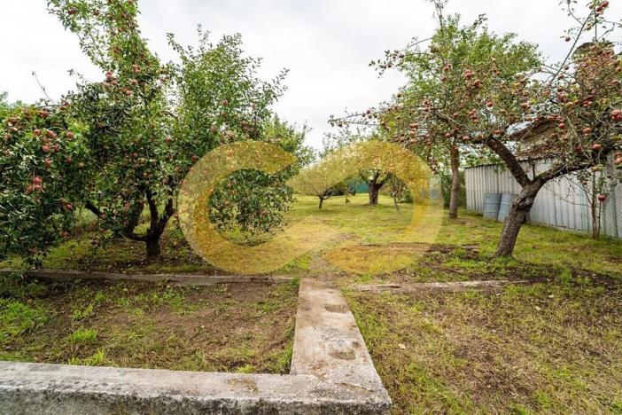 Prodej zahrady, Plzeň, Guldenerova, 731 m2