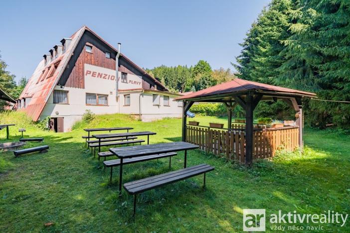 Prodej rodinného domu, Plavy, 556 m2