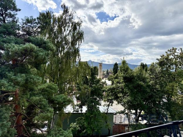 Prodej obchodního prostoru, Liberec - Liberec I-Staré Město, Ruprechtická, 481 m2