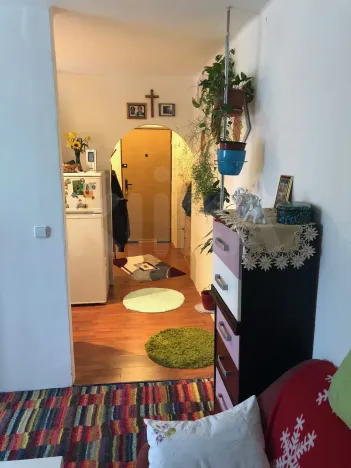 Pronájem bytu 1+1, Horní Slavkov, Dlouhá, 34 m2