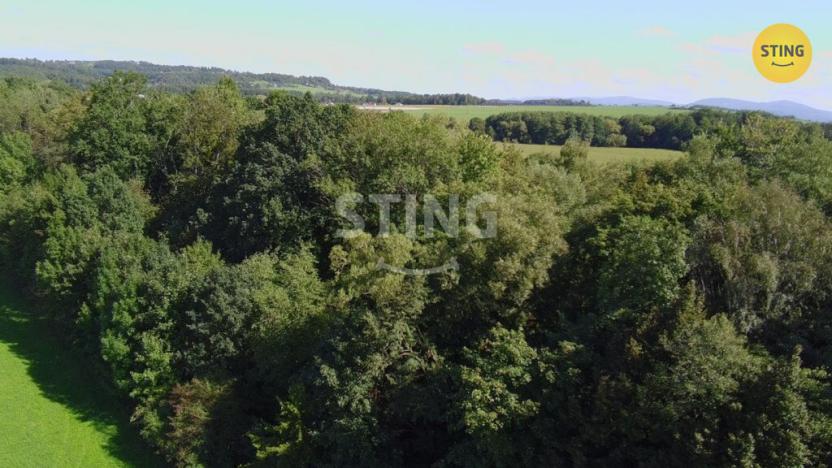 Prodej lesa, Hnojník, 9789 m2