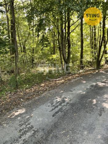 Prodej lesa, Hnojník, 9789 m2