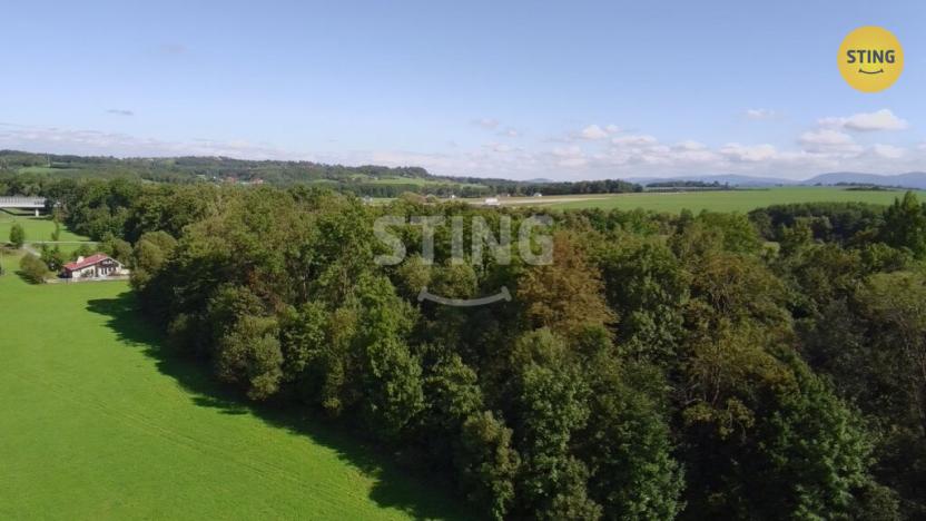 Prodej lesa, Hnojník, 9789 m2