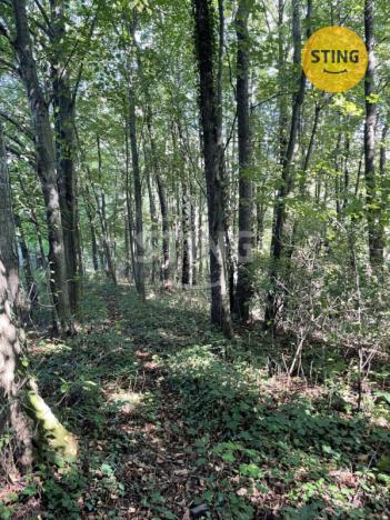 Prodej lesa, Hnojník, 9789 m2