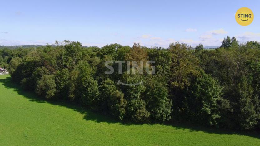 Prodej lesa, Hnojník, 9789 m2