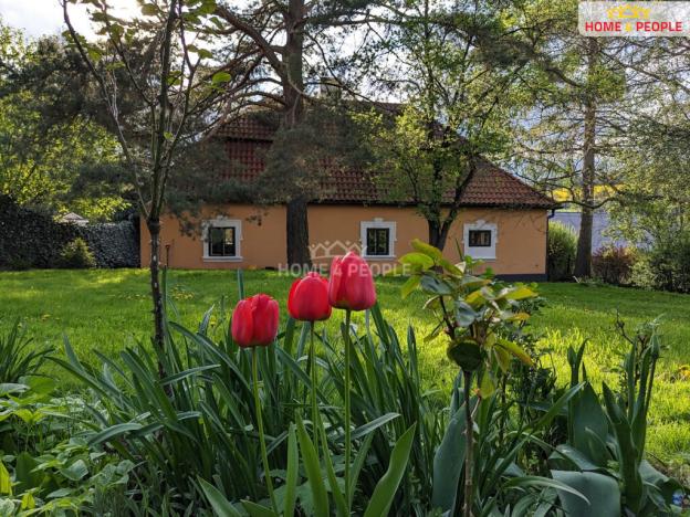 Prodej rodinného domu, Vysoký Chlumec, 190 m2