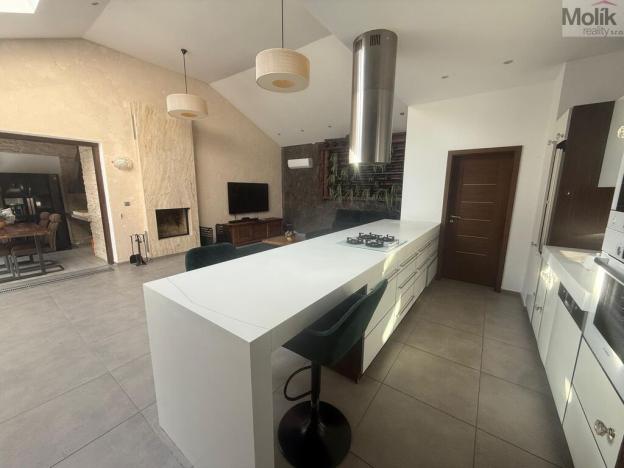 Pronájem rodinného domu, Háj u Duchcova - Domaslavice, Lesní stezka, 768 m2