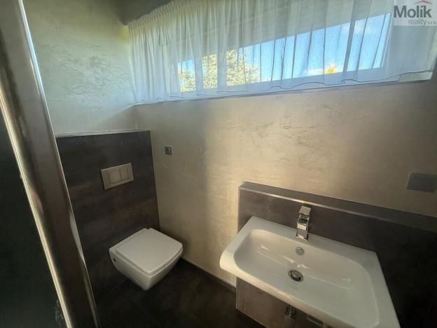 Pronájem rodinného domu, Háj u Duchcova - Domaslavice, Lesní stezka, 768 m2