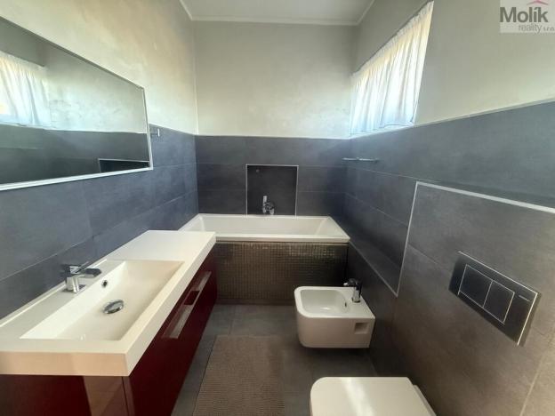 Pronájem rodinného domu, Háj u Duchcova - Domaslavice, Lesní stezka, 768 m2