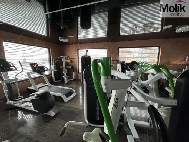 Pronájem rodinného domu, Háj u Duchcova - Domaslavice, Lesní stezka, 768 m2