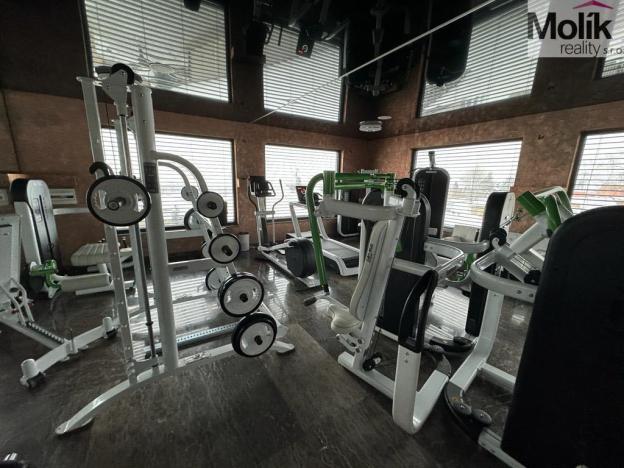 Pronájem rodinného domu, Háj u Duchcova - Domaslavice, Lesní stezka, 768 m2