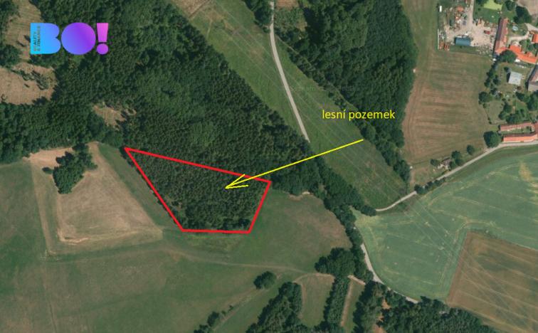 Prodej lesa, Cehnice - Dunovice, 12580 m2
