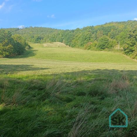 Prodej rodinného domu, Město Albrechtice - Hynčice, 500 m2