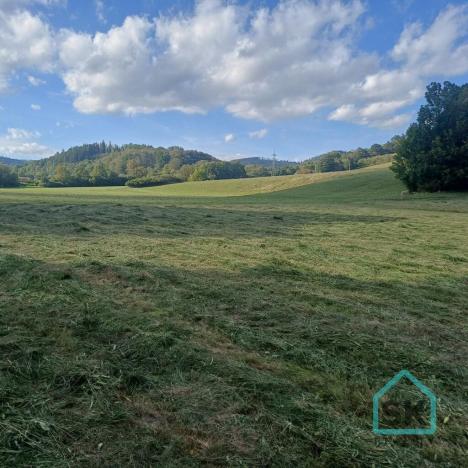 Prodej rodinného domu, Město Albrechtice - Hynčice, 500 m2