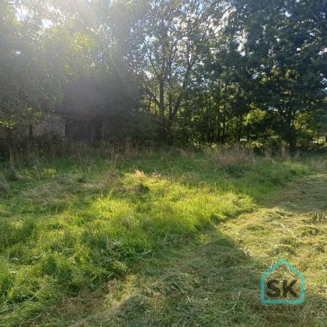 Prodej rodinného domu, Město Albrechtice - Hynčice, 500 m2