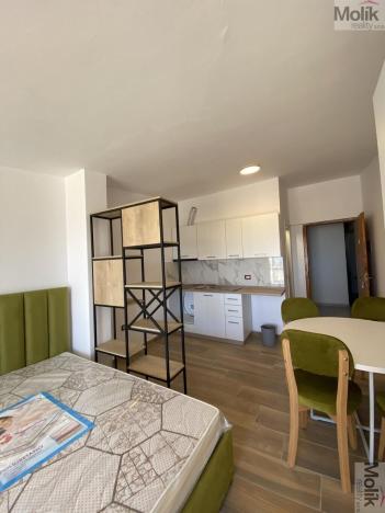 Prodej bytu 1+kk, Golem, 41 m2