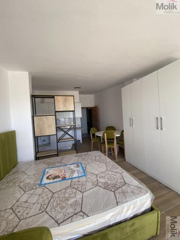 Prodej bytu 1+kk, Golem, 41 m2