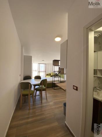 Prodej bytu 1+kk, Golem, 41 m2